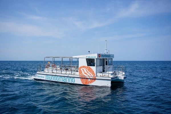 Catamarán de 50 plazas para eventos y fiestas privadas en Valencia navegando por la costa